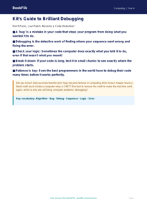 Free Debugging Poster | Year 4 | Computing | BookFlik