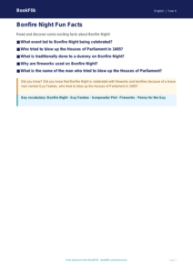 Free Bonfire Night Poster Activity | Year 4 English | BookFlik