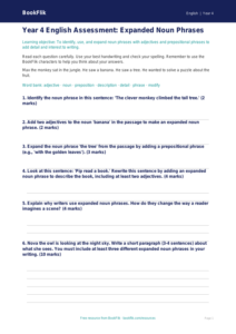 Free Expanded Noun Phrases Assessment | Year 4 | English | BookFlik