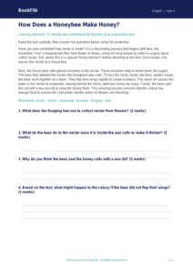 Free Explanation Texts Comprehension | Year 4 | English | BookFlik