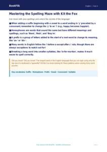 Free Spelling Poster for Year 4 | English | BookFlik
