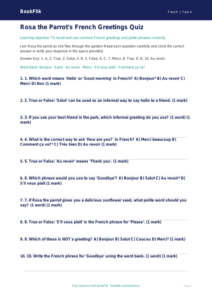 Learn French Greetings with BookFlik | Year 4 | Free Download