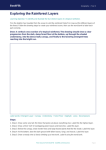 Free Rainforests Drawing Sheet | Year 4 | Geography | BookFlik