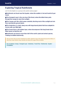 Free Rainforests Poster | Year 4 | Geography | BookFlik