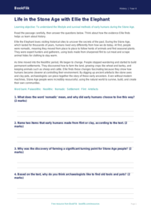 History stone age comprehension year 4 core