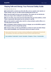 Free Personal Safety Poster | Year 4 | HASS / Personal Development | BookFlik