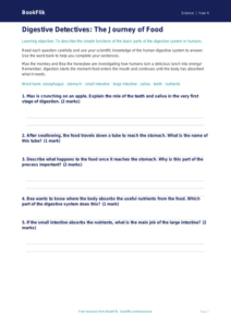 Free Animals Including Humans Worksheet | Year 4 | Science | BookFlik