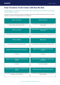 Free Food Chains Flashcards | Year 4 | Science | BookFlik