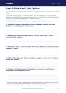 Free Food Chains Template | Year 4 | Science | BookFlik