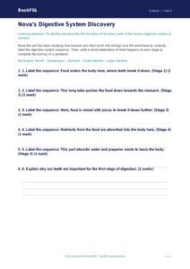 Science human body activity sheet year 4 core