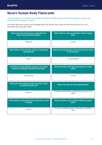 Free Human Body Worksheets | Year 4 | Science | Australian Curriculum