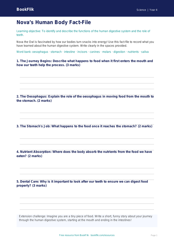 Free Human Body Template | Year 4 | Science | Australian Curriculum worksheet preview — Science Human Body