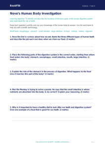 Free Human Body Worksheet | Year 4 | Science | Australian Curriculum