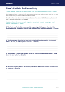 Free Human Body Writing Frame | Year 4 | Science | BookFlik