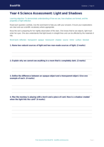 Free Light Assessment | Year 4 | Science | BookFlik