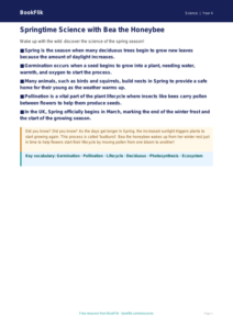 Free Spring Science Poster | Year 4 | Science | BookFlik