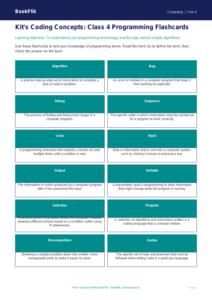 Free Programming Flashcards for Class 4 Students | BookFlik