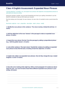 Free Expanded Noun Phrases Assessment | Class 4 | English | BookFlik