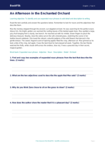 English expanded noun phrases comprehension class 4 core
