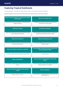 Rainforests Flashcards for Class 4 | CBSE Geography | BookFlik