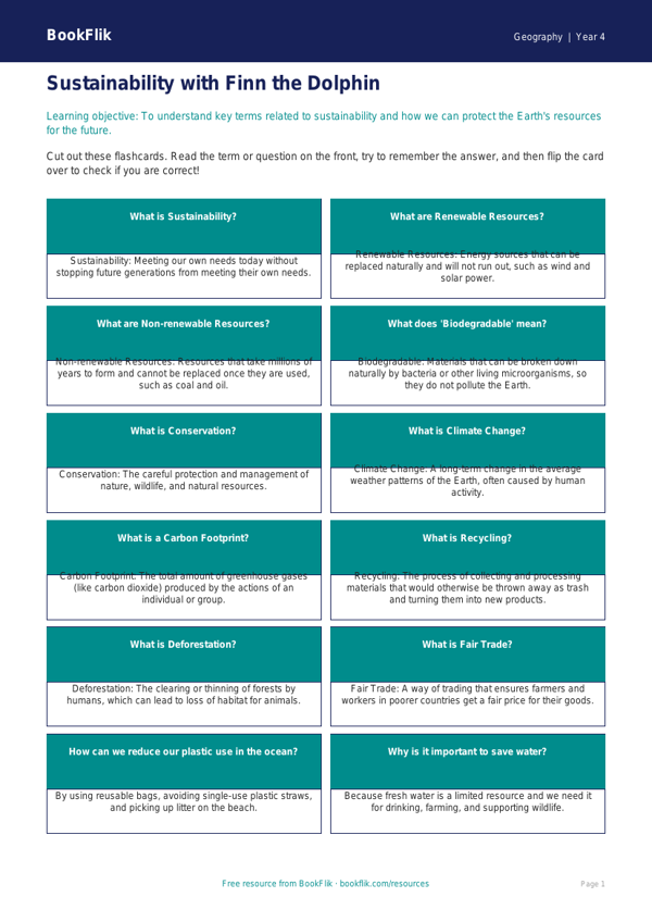 Free Sustainability Flashcards | Class 4 | Geography | BookFlik worksheet preview — Geography Sustainability