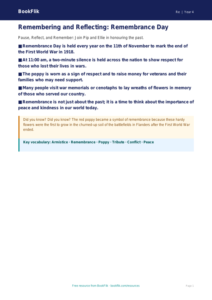 Free Remembrance Day Poster Activity | Class 4 | EVS & Moral Education | BookFlik