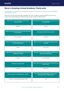 Free Animals Including Humans Flashcards | Class 4 | Science | BookFlik