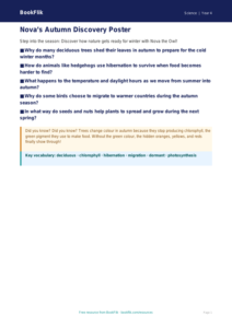 Free Autumn Science Worksheet for Class 4 CBSE NCERT
