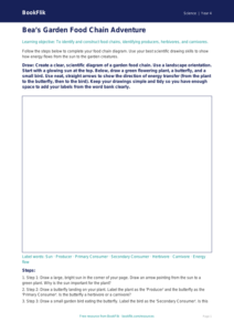 Science food chains drawing sheet class 4 core