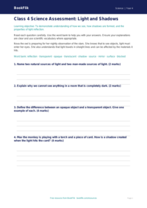 Free Light Assessment | Class 4 | Science | BookFlik
