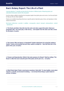 Free Plants Worksheet for Class 4 | CBSE Science | BookFlik