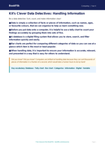 Free Data Handling Poster | Year 4 Core | BookFlik