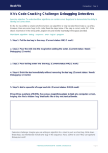Free Debugging Activity Sheet | Year 4 Core | BookFlik