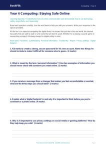 Free Internet Safety Assessment | Year 4 Core | BookFlik