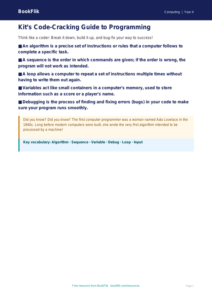 Free Programming Poster | Year 4 Core | BookFlik