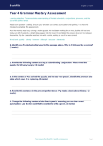 Free Grammar Assessment | Year 4 Core | BookFlik