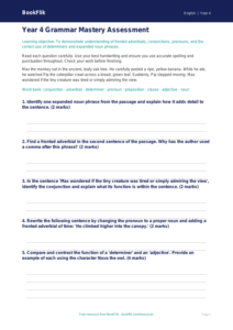 Free Grammar Assessment | Year 4 Greater Depth | BookFlik