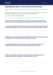 Free Newspaper Writing Worksheet | Year 4 Core | BookFlik