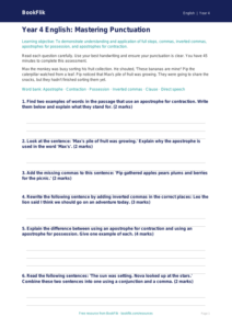 Free Punctuation Assessment | Year 4 Core | BookFlik