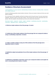 Free Sentence Structure Assessment | Year 4 Core | BookFlik