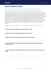 Free Colours Comprehension | Year 4 Core | BookFlik