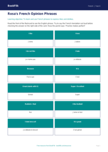Free Opinion Phrases Flashcards | Year 4 Core | BookFlik