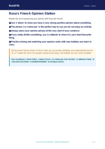Free Opinion Phrases Poster | Year 4 Core | BookFlik