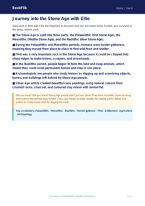 Free Stone Age Poster | Year 4 Core | BookFlik