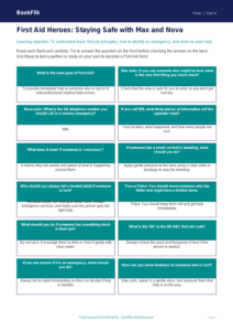 Free First Aid Flashcards | Year 4 Core | BookFlik