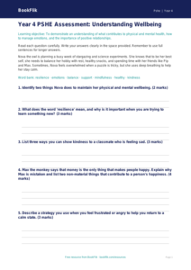 Free Wellbeing Assessment | Year 4 Core | BookFlik