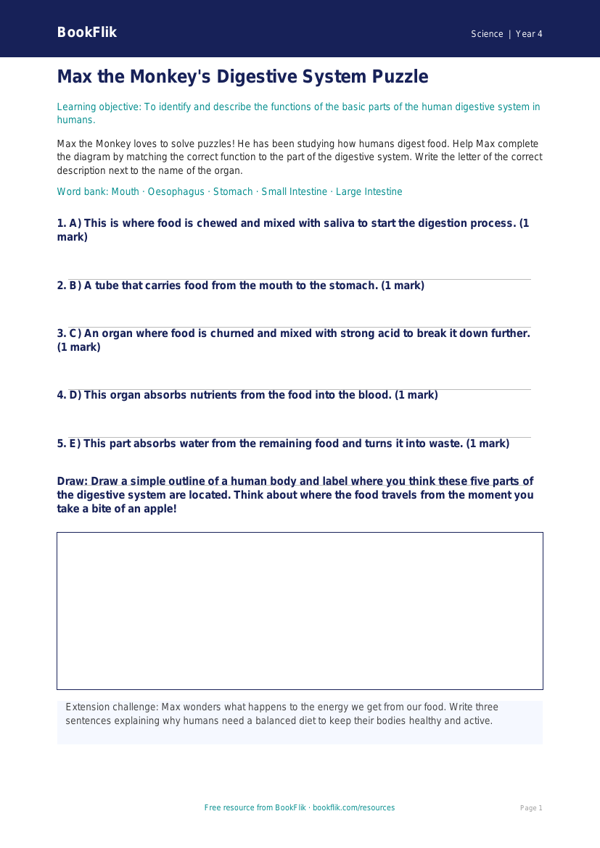 Free Animals Including Humans Activity Sheet | Year 4 Core | BookFlik worksheet preview — Science Animals Including Humans