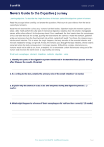 Free Animals Including Humans Comprehension | Year 4 Greater Depth | BookFlik