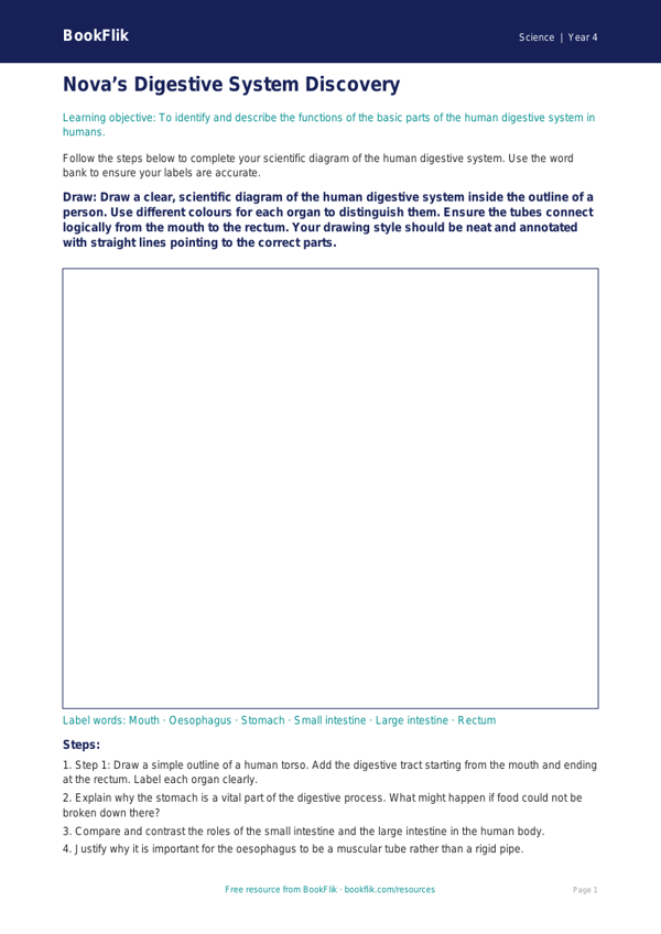 Free Animals Including Humans Drawing Sheet | Year 4 Greater Depth | BookFlik worksheet preview — Science Animals Including Humans