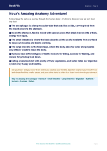 Free Animals Including Humans Poster | Year 4 Core | BookFlik